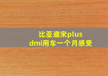 比亚迪宋plus dmi用车一个月感受